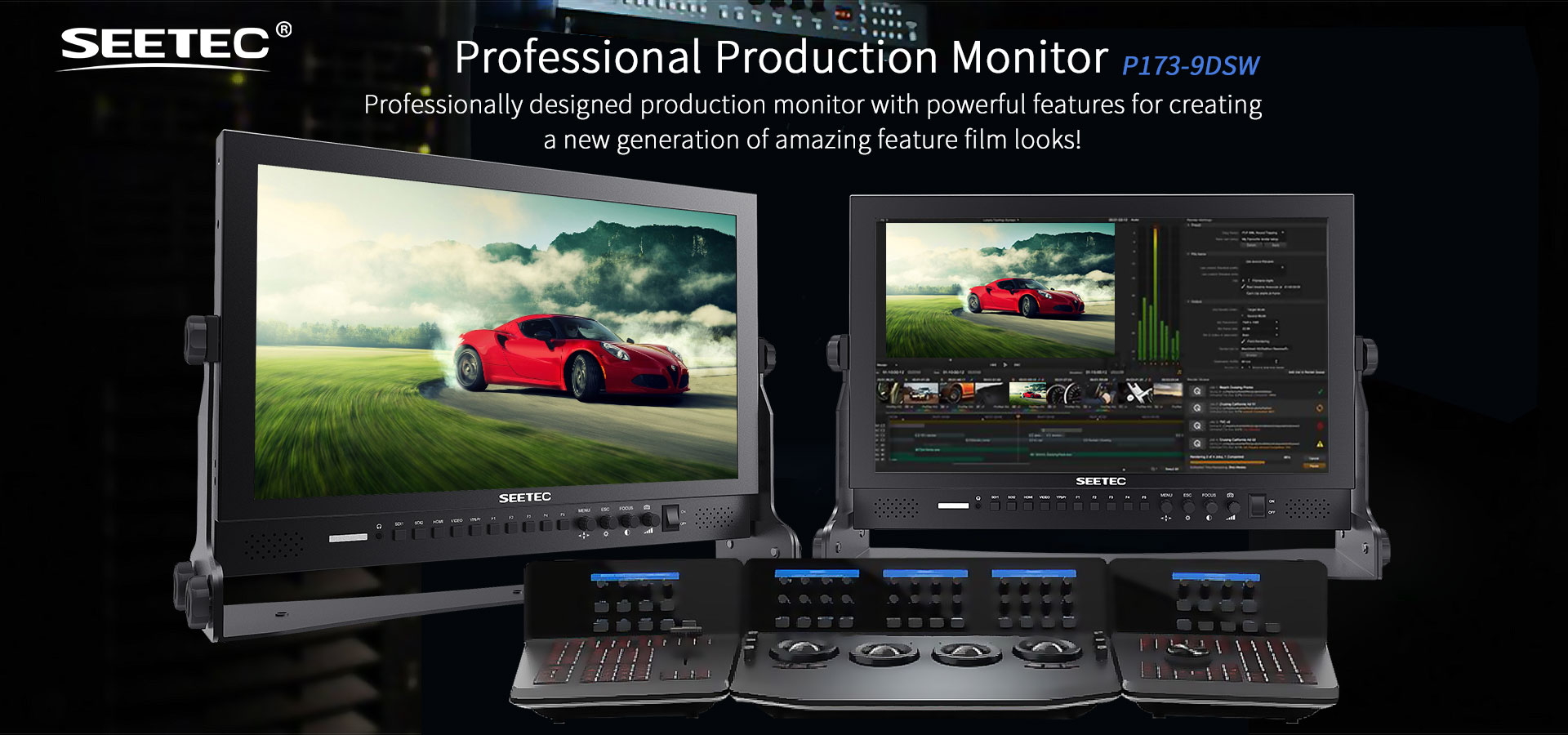 /173 professional production monitor P173-9DSW